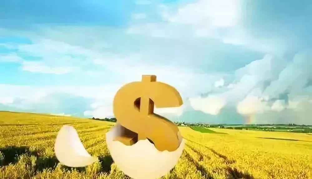 大数据花了，网贷都秒拒，急需3万怎么办？网贷欠20万自救方法-第1张图片-51财金